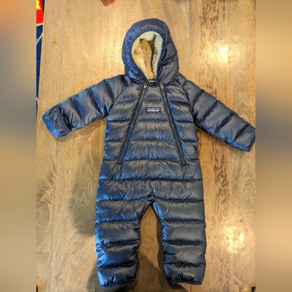 Patagonia 3M bunting